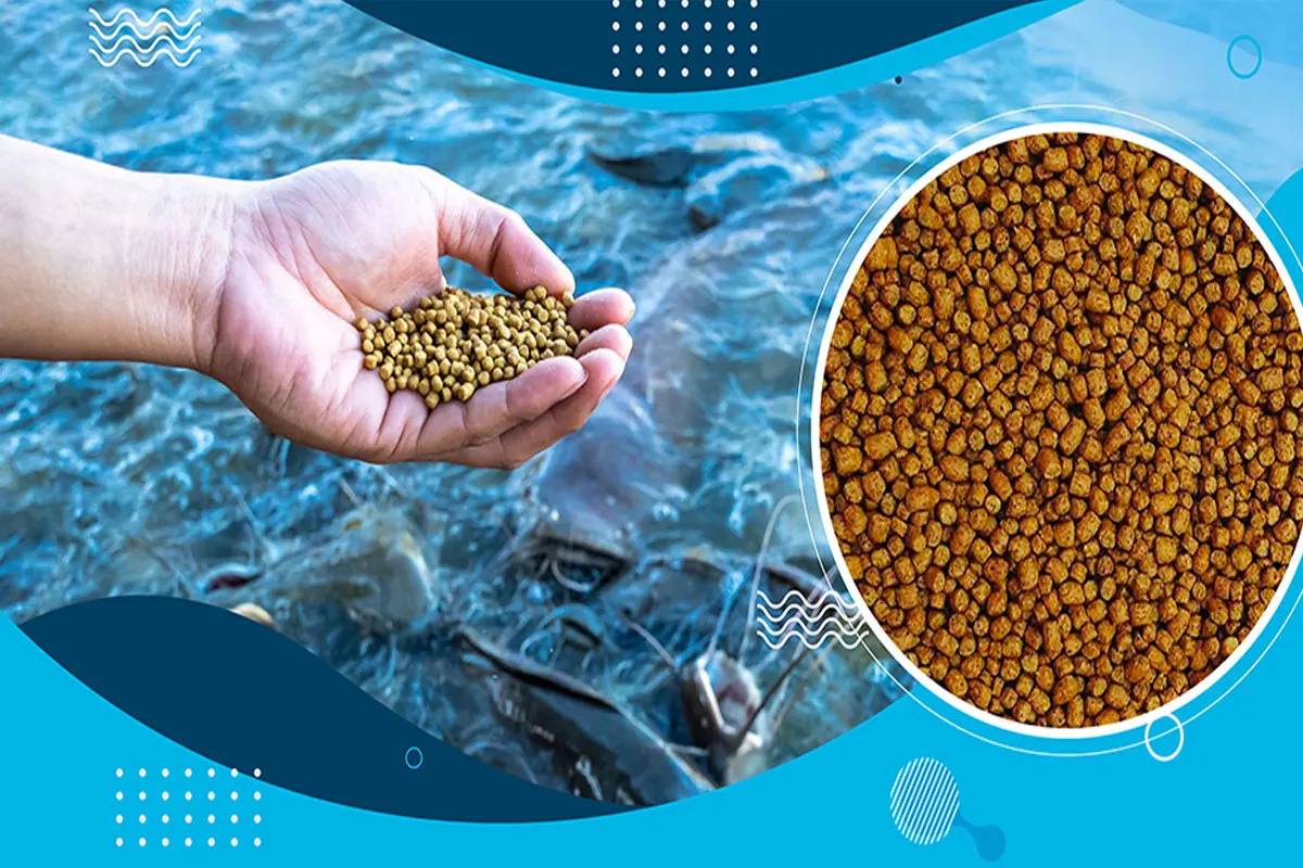 Floating Fish Feed Pellets for Aquaculture