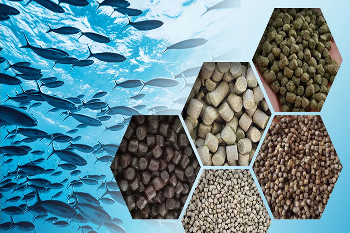 Floating Fish Feed Pellets for Aquaculture