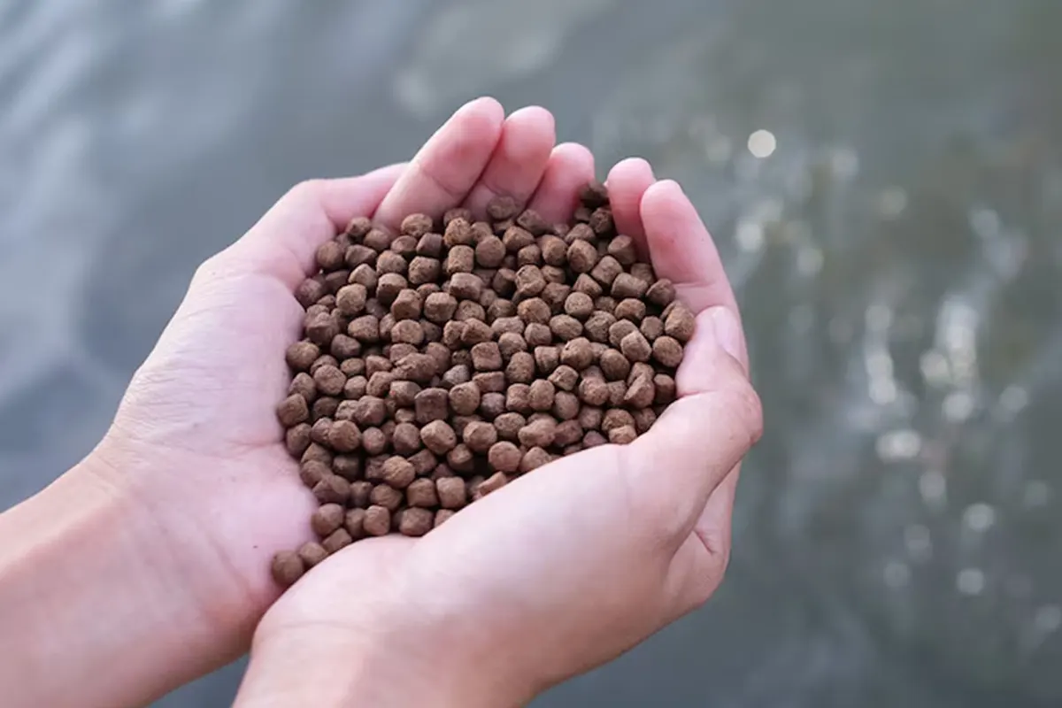 Floating Fish Feed Pellets for Aquaculture