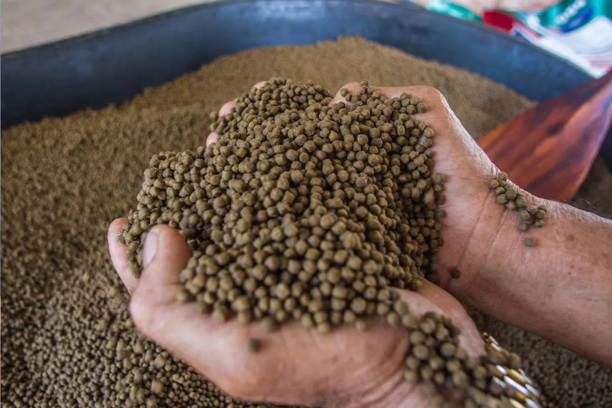 Floating Fish Feed Pellets for Aquaculture