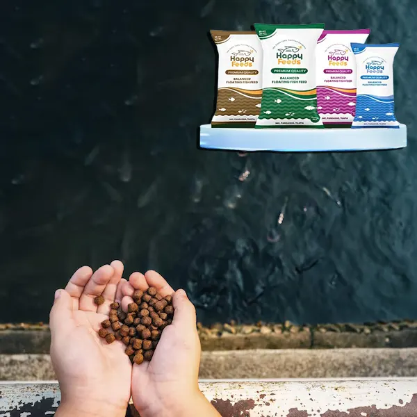 Floating Fish Feed Pellets for Aquaculture