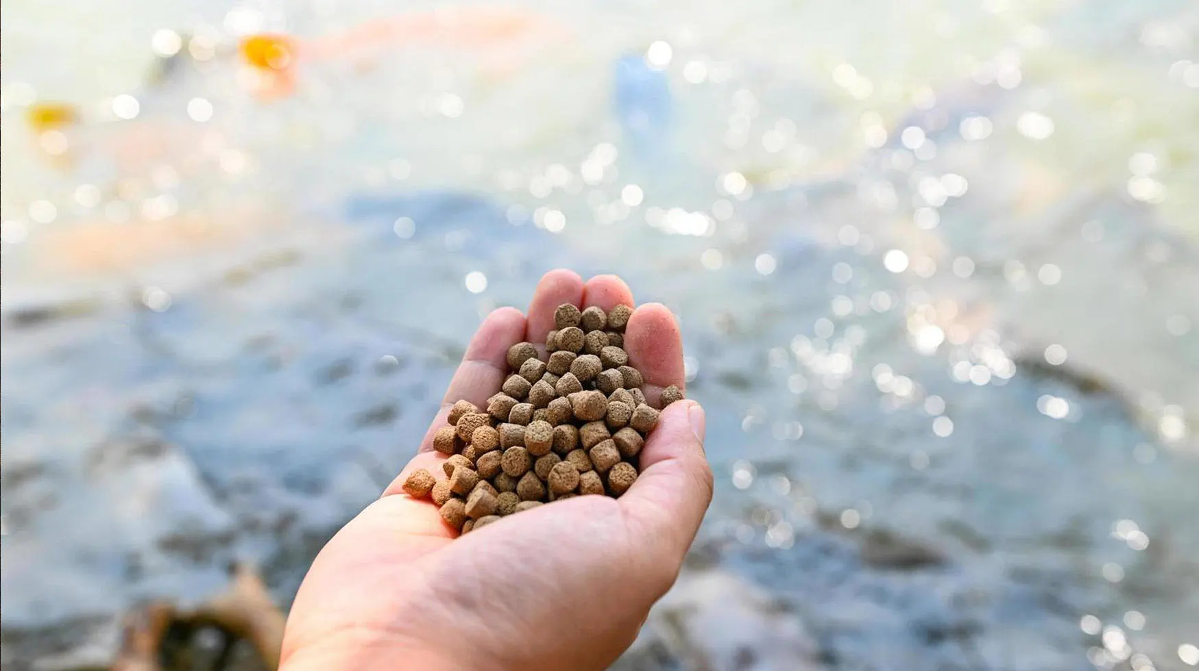 Floating Fish Feed Pellets for Aquaculture