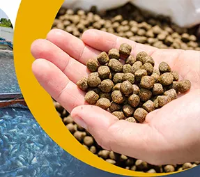 Floating Fish Feed Pellets for Aquaculture