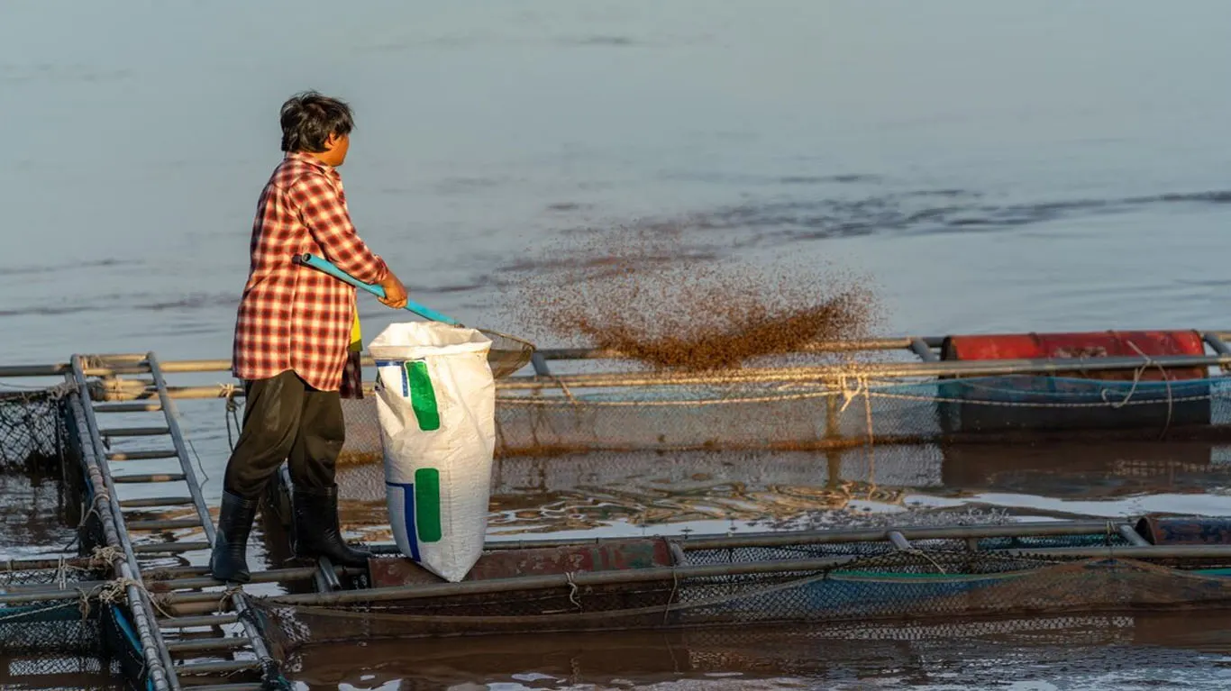 Floating Fish Feed Pellets for Aquaculture