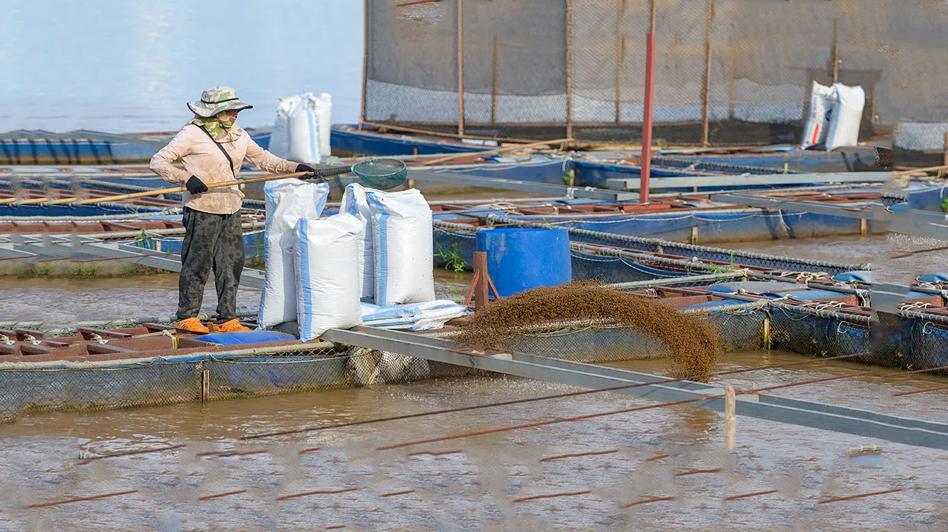 Floating Fish Feed Pellets for Aquaculture
