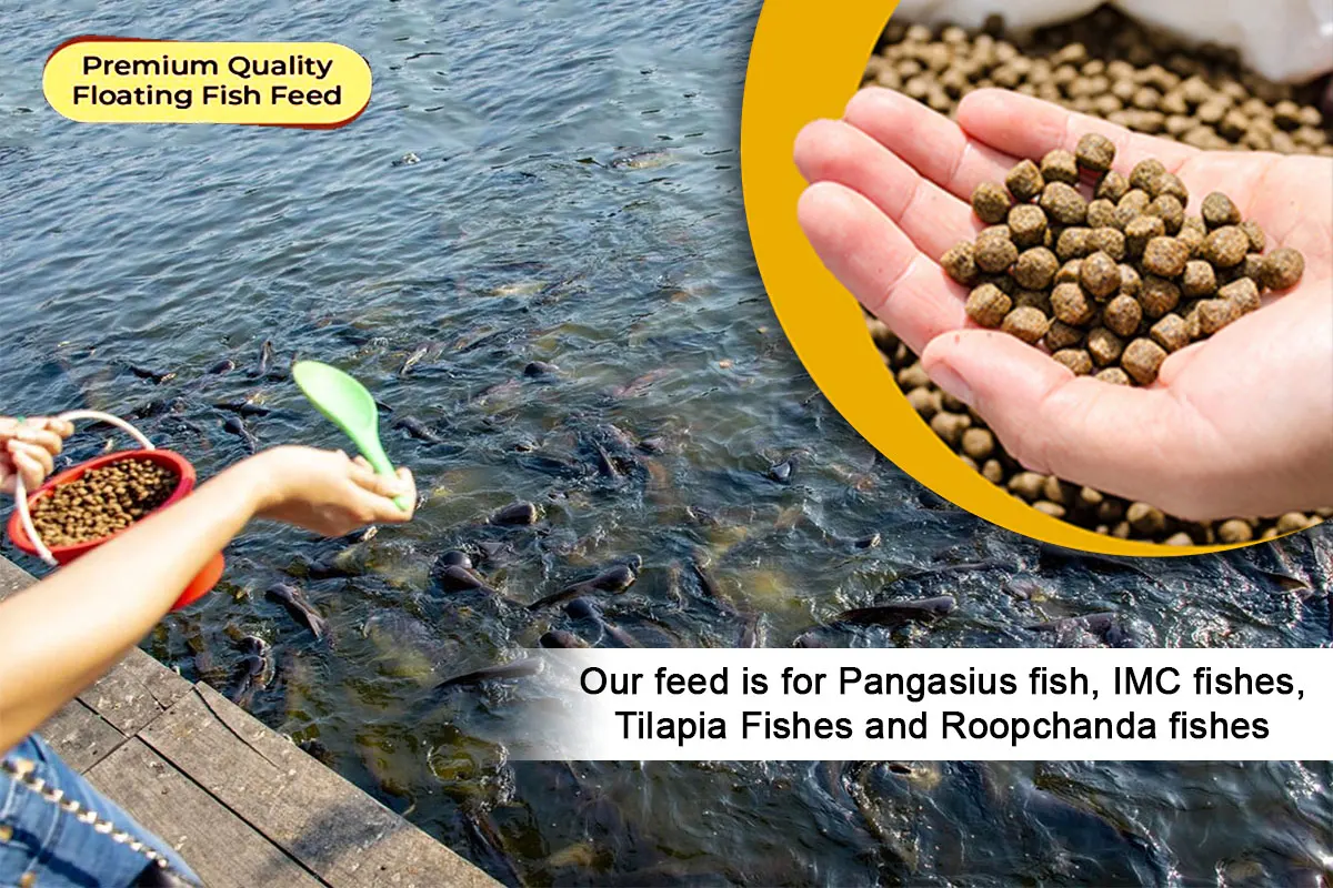 Floating Fish Feed Pellets for Aquaculture