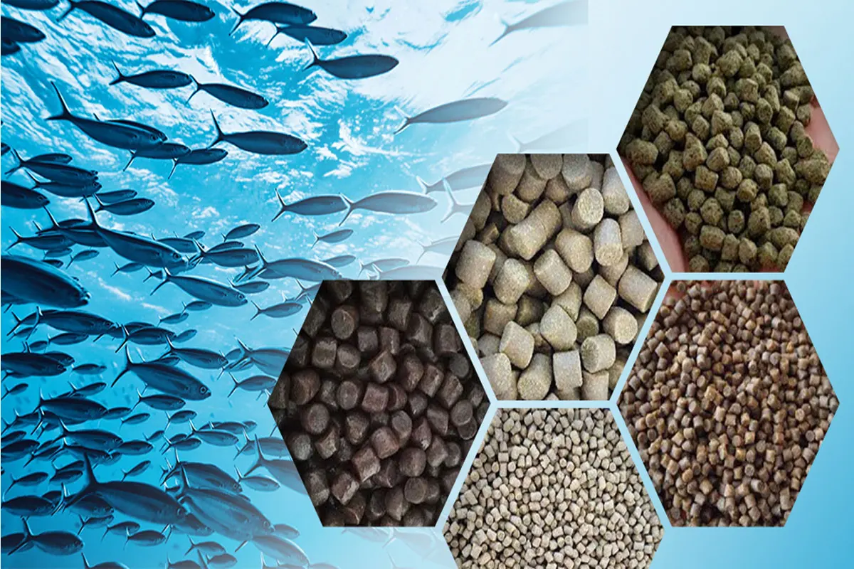 Floating Fish Feed Pellets for Aquaculture