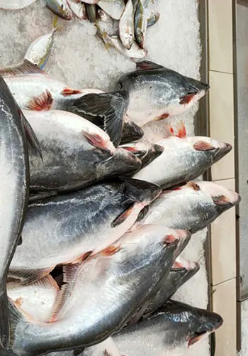 Floating Fish Feed Pellets for Aquaculture