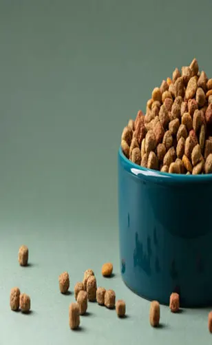 Floating Fish Feed Pellets for Aquaculture