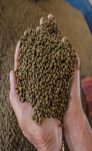 Floating Fish Feed Pellets for Aquaculture
